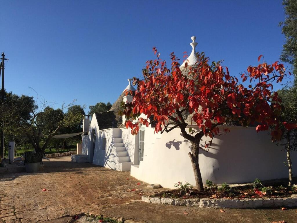 Chateaux Des Trulli San Michele Salentino Exteriér fotografie